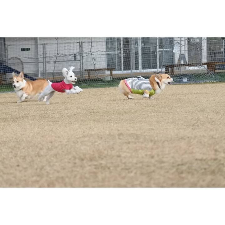 A2e199d5 5b10 4444 8107 4a657d4f41df 1606126053349