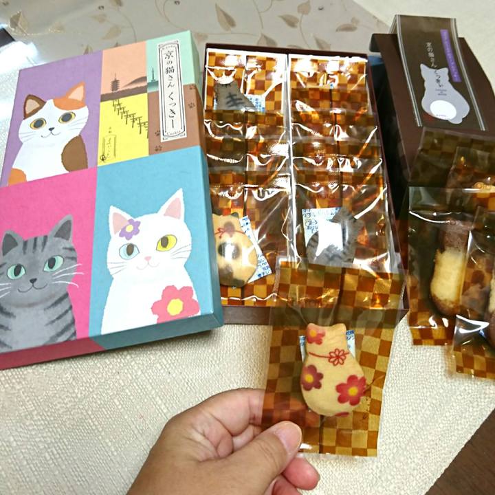 A2e1b9eb 4a5a 450b abee 398ff74949fe 1539990161228