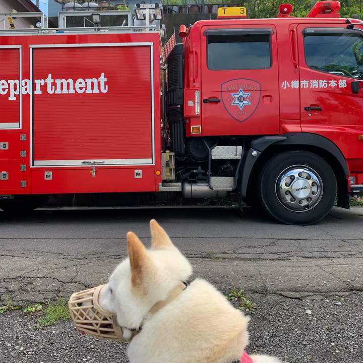 A2e20702 9619 48df 85b7 93ac94820549 1566702389083