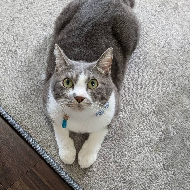 A2e2478f 3d48 4230 9666 04394e3e5472 1729312443501