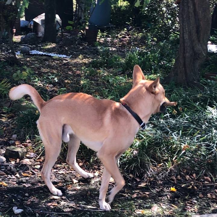 A2e252df 801a 4bce be82 fe29eb4e56ae 1540265439152