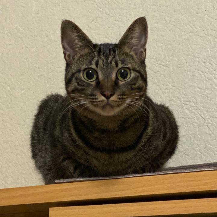 A2e25502 9d4e 4ea7 9986 d5e2ec604a65 1575337160574