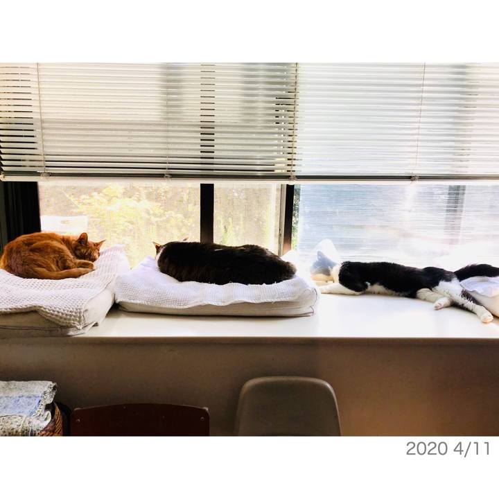 A2e28e43 744c 4f6a b646 e4bb0c9653bd 1586578666821