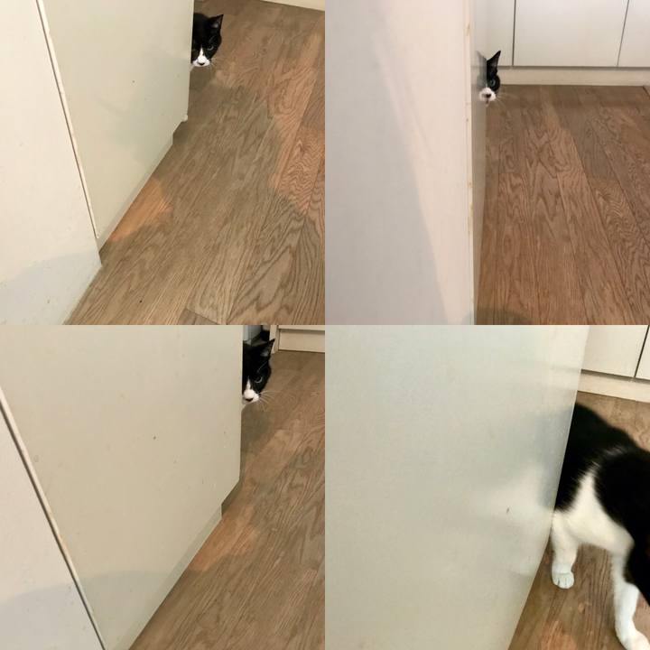 A2e29488 f3fe 4b63 b987 c62ee0c5e86e 1556584741618