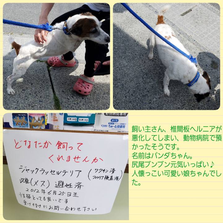 A2e2e90f 007b 47c1 9822 bf5adb85354f 1559446805588