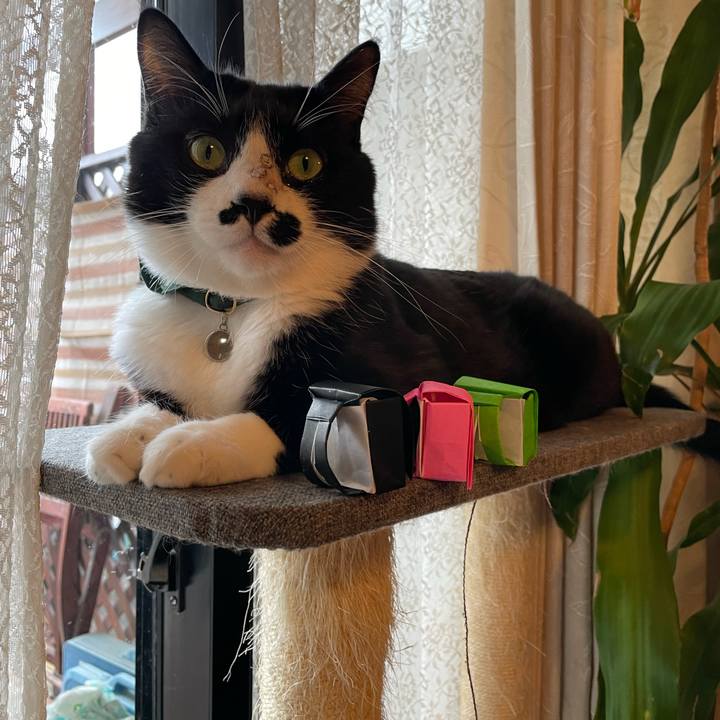 A2e34a18 c54f 450c 8629 6e476b612a65 1743118956381