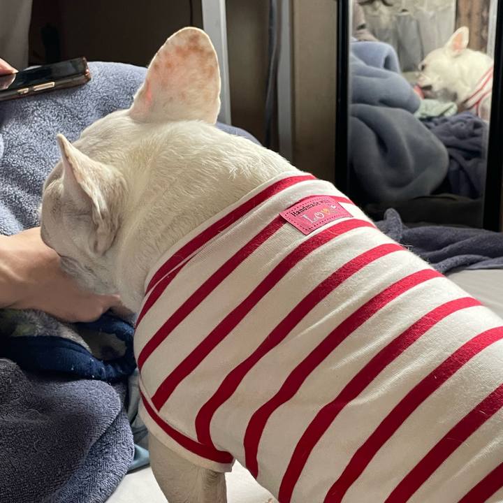 A2e3ddb4 09d6 4f44 b74f ae5edbf3539c 1743206091632