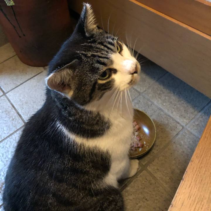 A2e3e832 67e2 4591 978c 12b65f7896e3 1570841304552