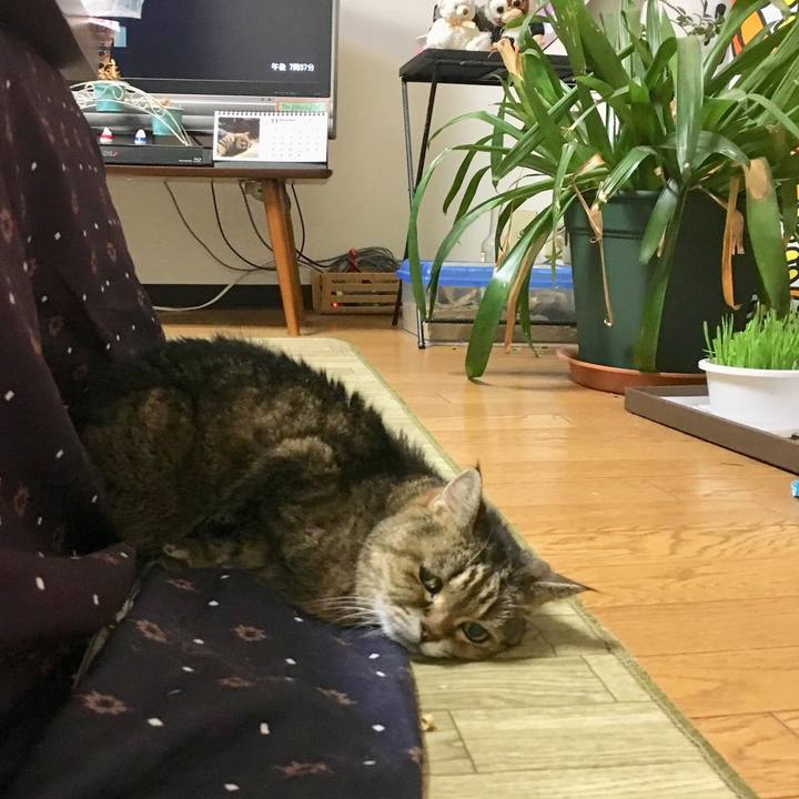 A2e40835 a6a8 4f71 929e 76ba318d5a20 1511088014234