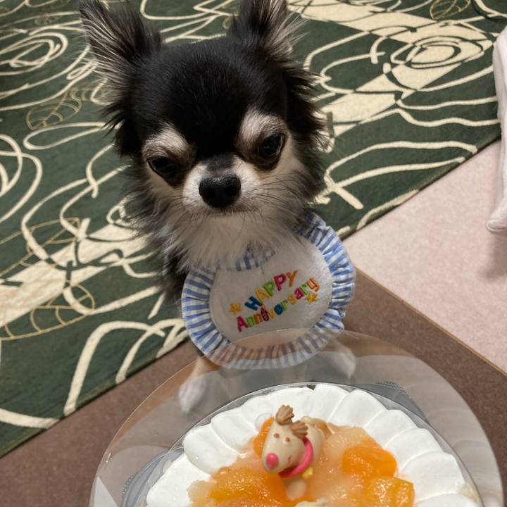 A2e44224 3849 4507 bcb6 59f425d651e7 1644071831398