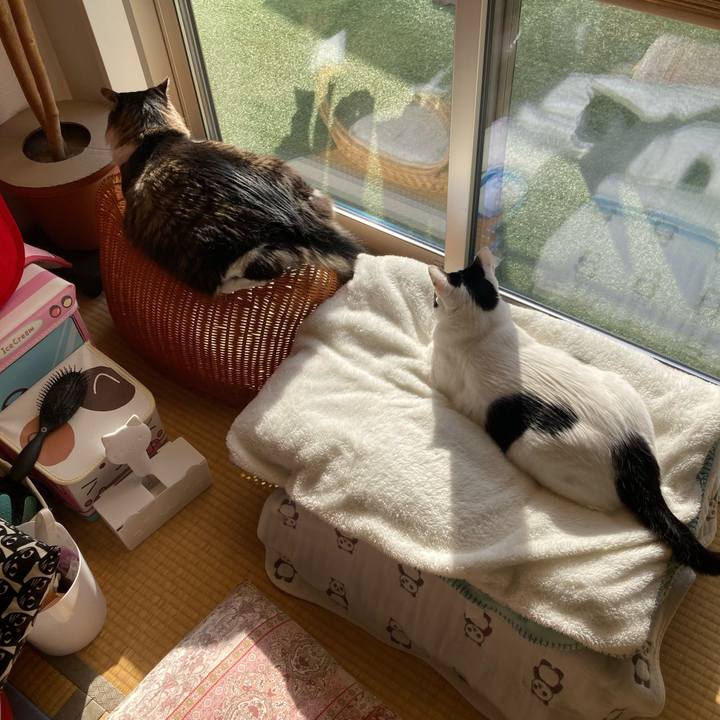 A2e482f6 8fa4 422b a009 57926261763d 1767323888623