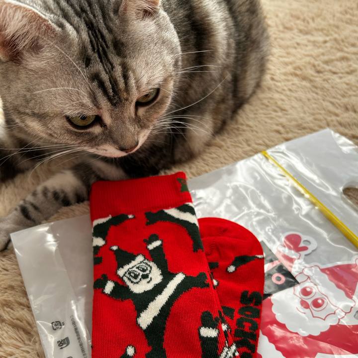 A2e4ceab 5147 466d a0e9 92d26d501be0 1765837562352