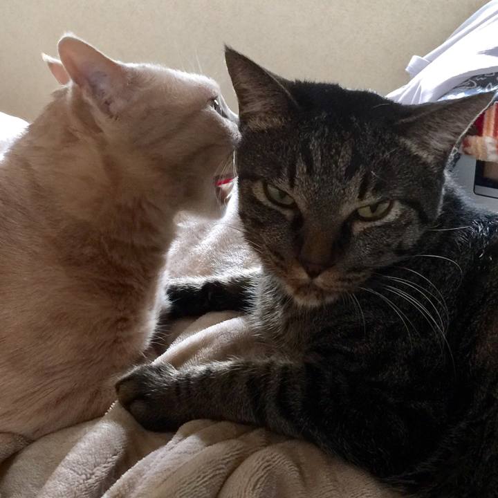 A2e4d736 9af5 4d4b 880c 2c0d3bb6028f 1568523876852