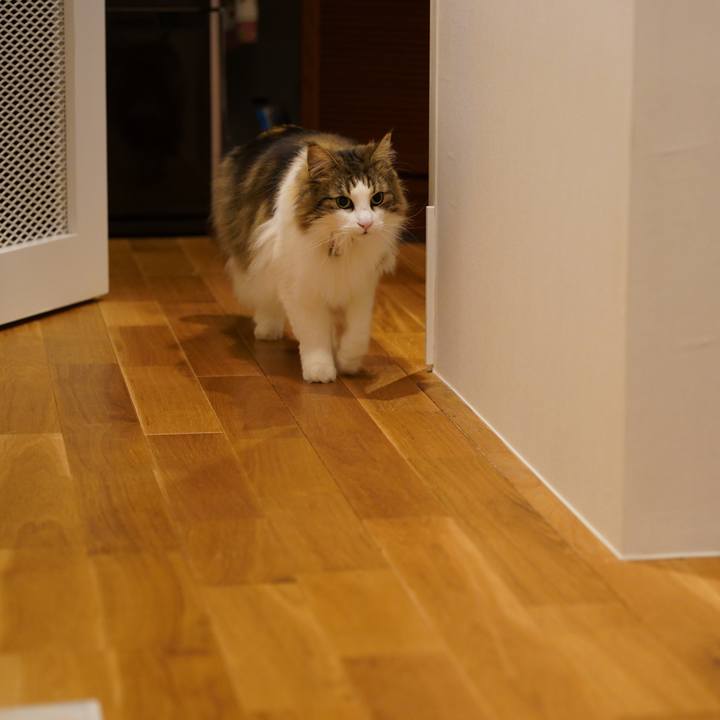 A2e4e554 6777 402b aea9 c49d9ee4a466 1647867613119