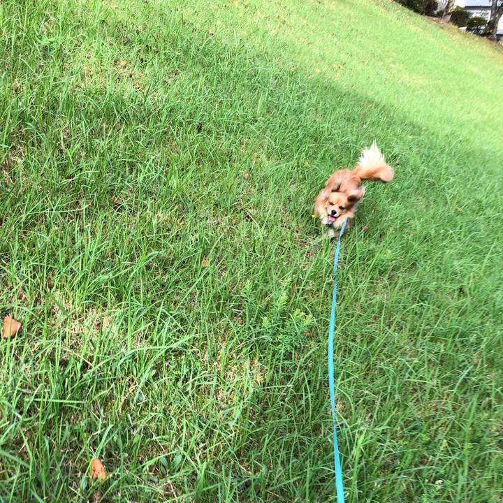 A2e519cd 847d 4aac 9bbc d55afe489ab0 1569719519830