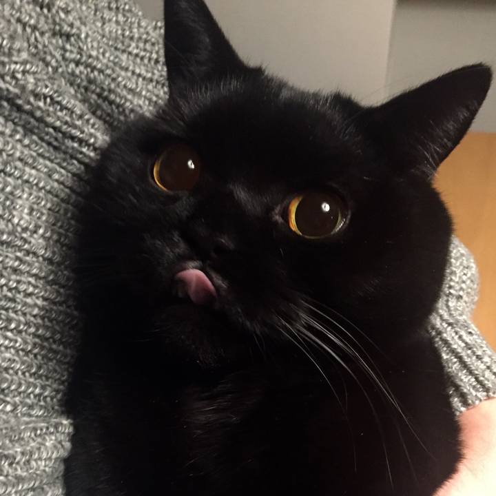 A2e5380f fc3c 48ac 86fd 773578aad581 1575120684586