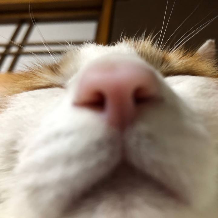 A2e53b46 55c6 4a7a a3c8 53db297704fe 1551611054359