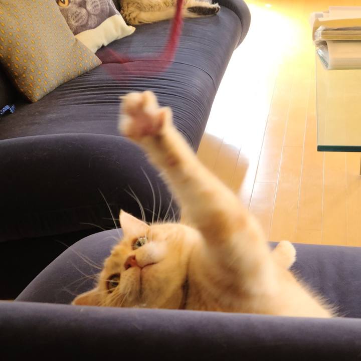 A2e5af71 609b 4c9c a2ff 64c1f3ecbbbd 1647329724188