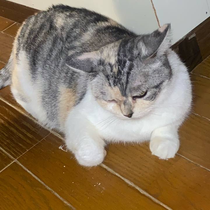 A2e5dc6f e640 4307 8938 c1f63a38c8e7 1626956912774