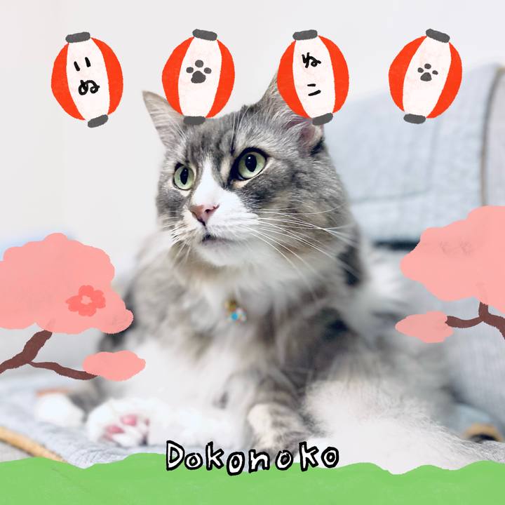 A2e61066 6d44 4a7b 9aec 2a992d5eacdc 1712592510955