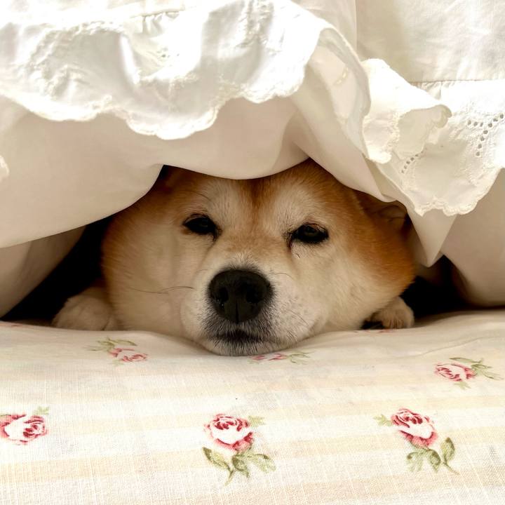 A2e61d85 0d0d 4032 9a25 014eba4b331f 1674155905005