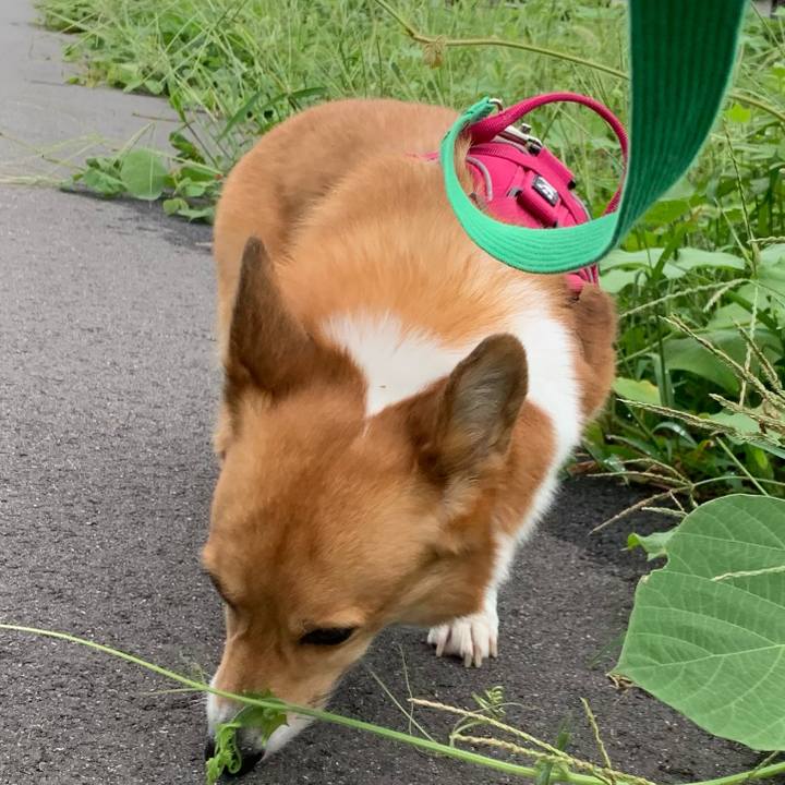 A2e6326b 8822 411d bd71 3bf90bb8085f 1630568239436