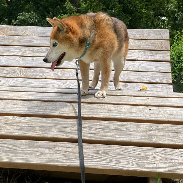 A2e644f9 784c 4082 a7b8 0c486895af64 1750665236048