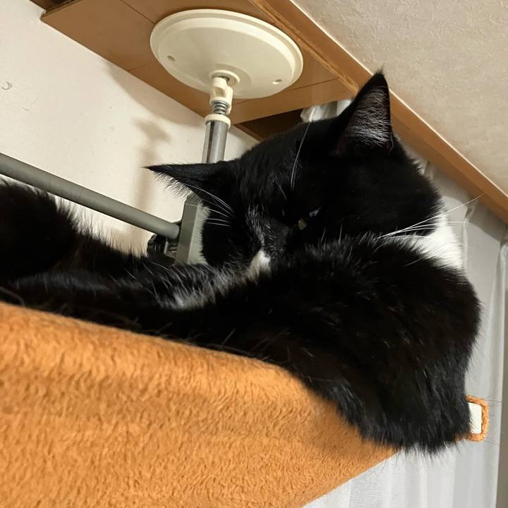 A2e65101 bb93 4acc 8be9 2b806b86b851 1744350927329