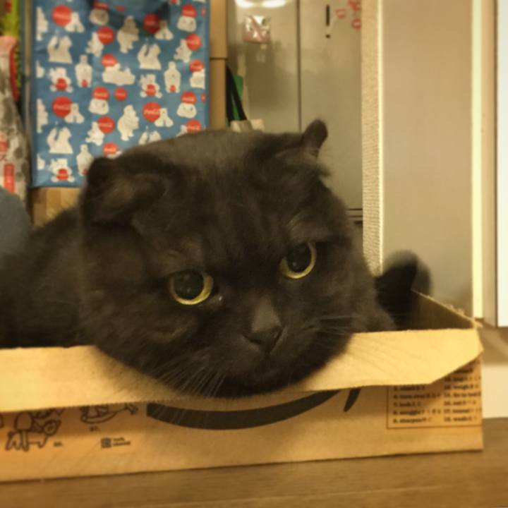 A2e6573c 99d0 4bba a87c 8eb92d9246b9 1509212196330