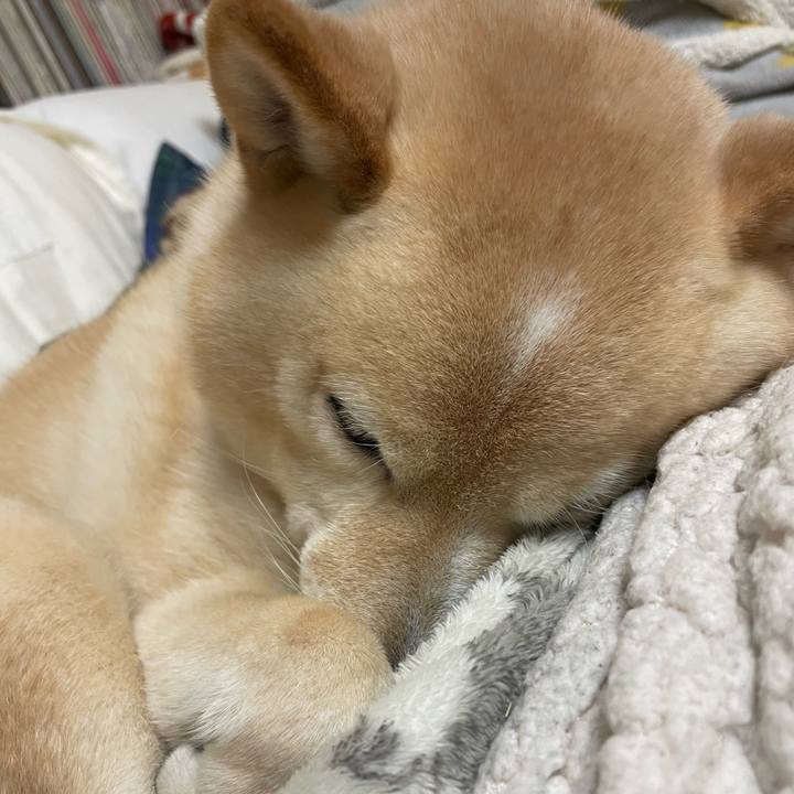 A2e665ef 36b8 4d37 acf6 c6fc0d7ff0b3 1739967195701