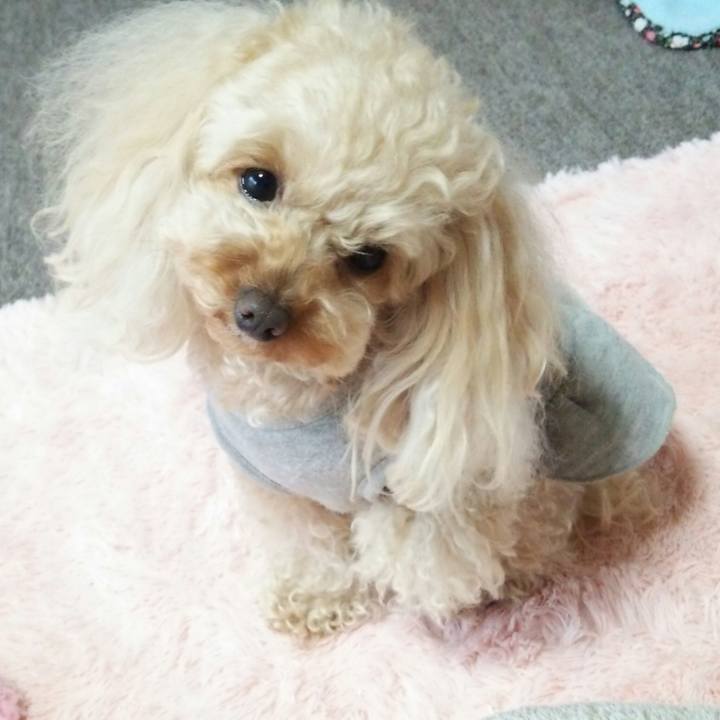 A2e677bf b2f1 471a bca3 747c680a1d8e 1524051814664