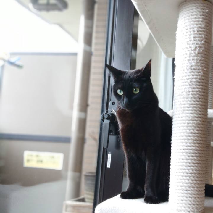 A2e6844e c1d2 407f bcbd f46ab9e4c1ea 1551656109878