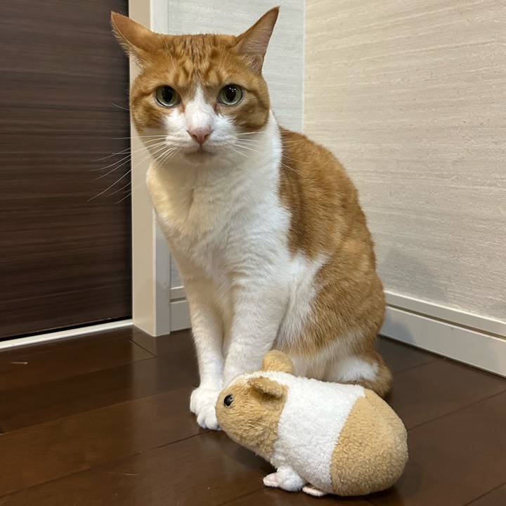 A2e68fc1 50e5 465e aaa7 6fe09b008ed1 1759056939073