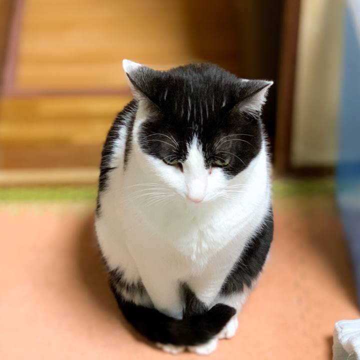 A2e6ba93 0401 4ba8 b6a0 e92017f253a0 1589417092794