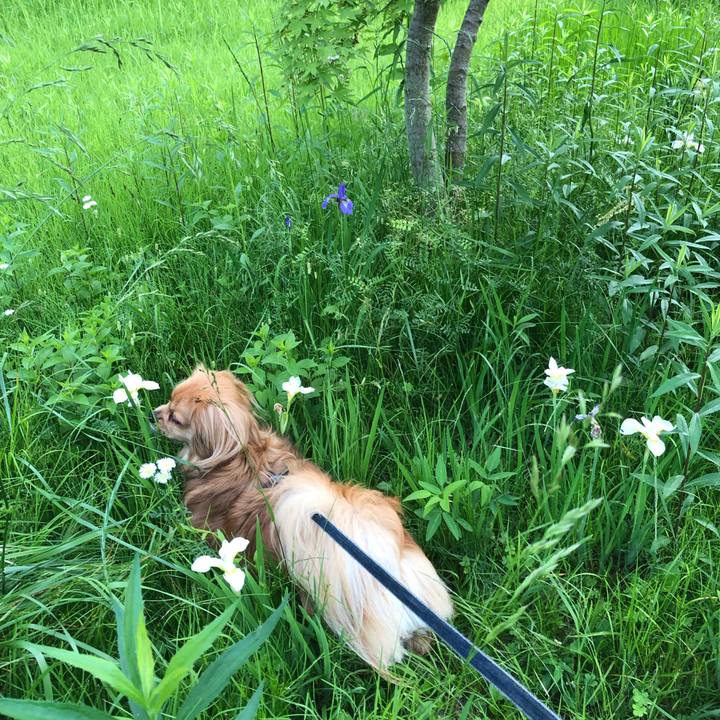 A2e6ccb3 8021 4d94 94e9 fafbdf47138f 1558042228429