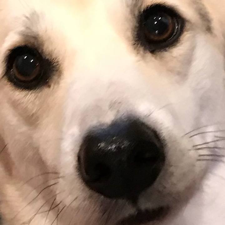 A2e6dfa6 ae98 4f7f a846 2916664fecb0 1521291171643