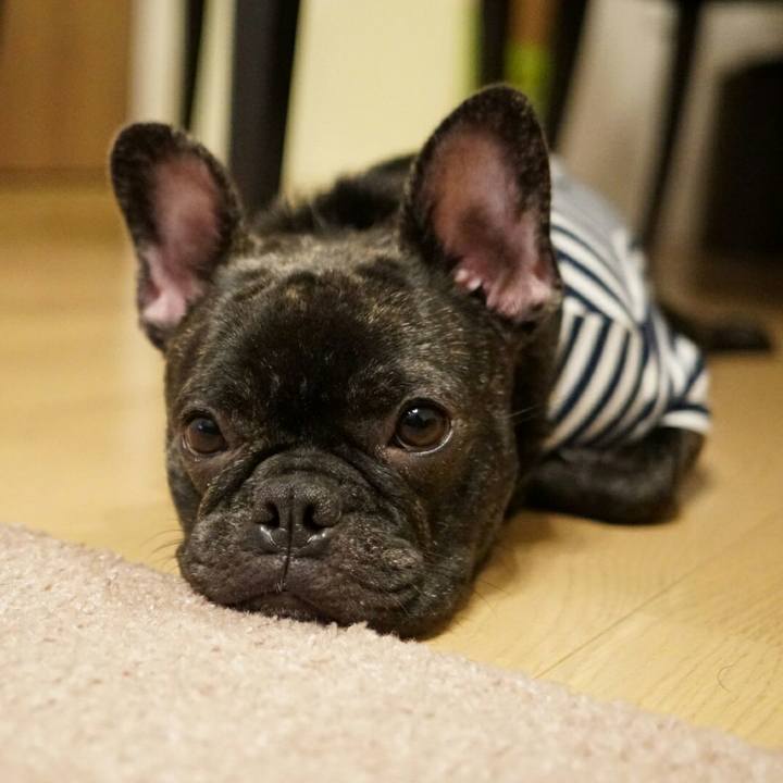 A2e6e7f0 1184 484c a628 8e591b00ef96 1508765794930