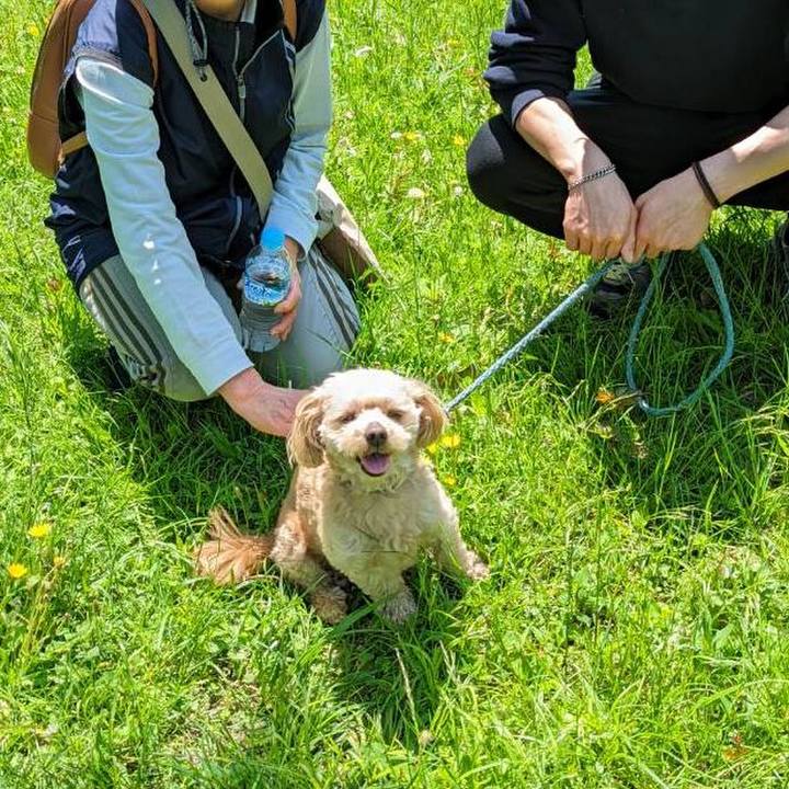 A2e70c73 0b95 4197 ac8b 7ad6146bb292 1651638451544