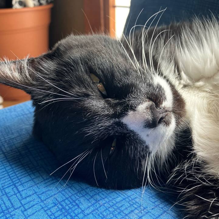 A2e71071 2738 422b ad61 0ac79d186033 1715571163581