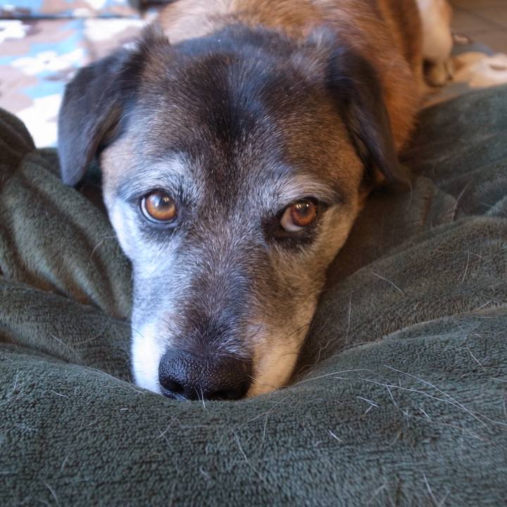 A2e71979 a156 4f19 9532 95c8a25c304c 1767747368123