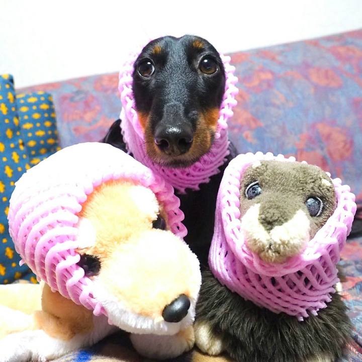 A2e7209a 6abb 4930 9d5a 2efe5515b383 1512349681178