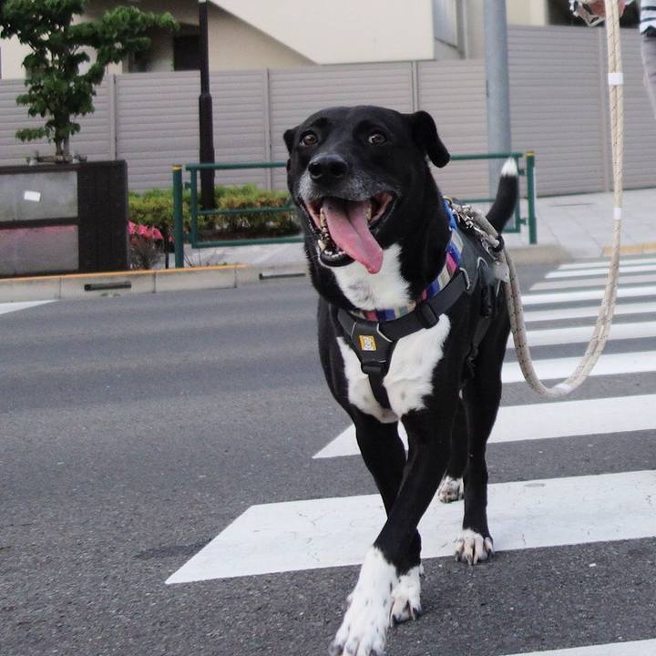 A2e74865 e226 44cb 9e4d acfa457a9c36 1653649015369