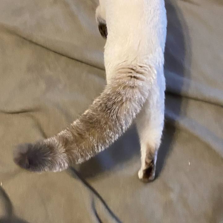 A2e75cf2 a8e7 48f0 a69d 2fa8c153aecb 1639357111863