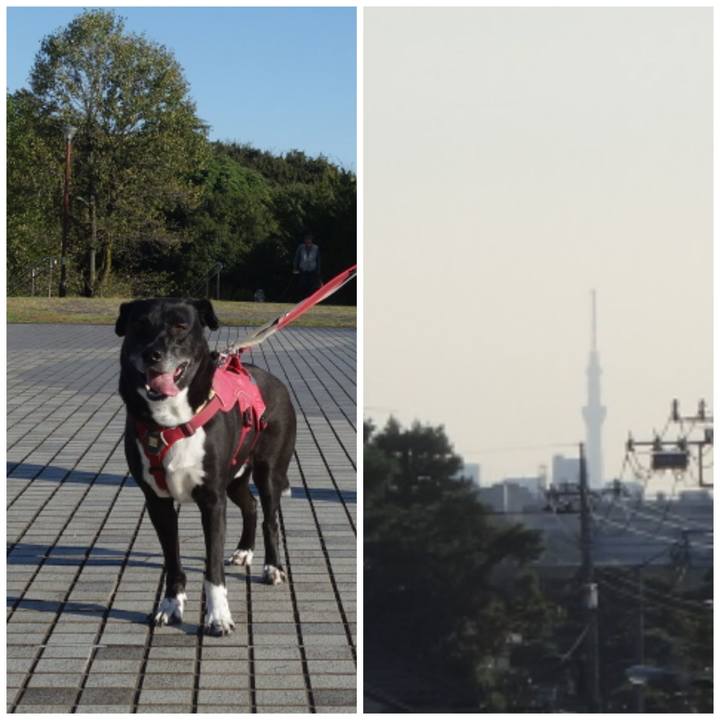 A2e78a24 e1e8 43fb a74c 516ed79e97cf 1696553400212