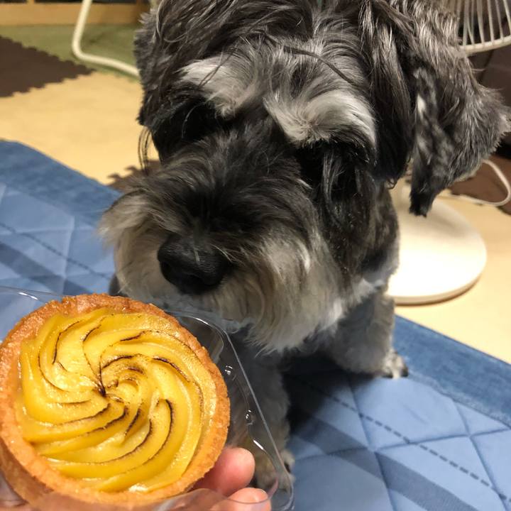 A2e7c898 1735 4987 9e31 c18ccc2e9d9a 1662857864172