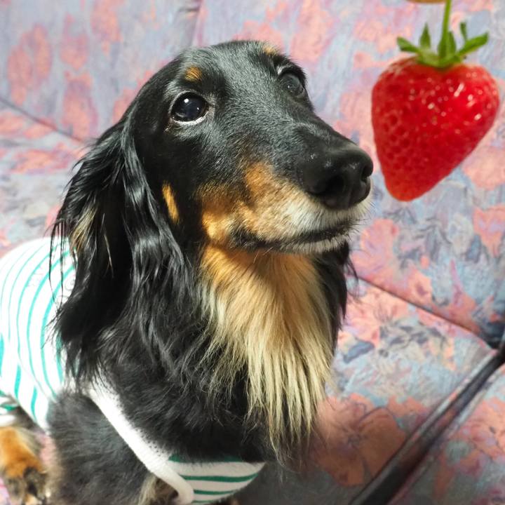 A2e7f5a7 665f 48e3 830b 3cbc4d8f967a 1684475148684