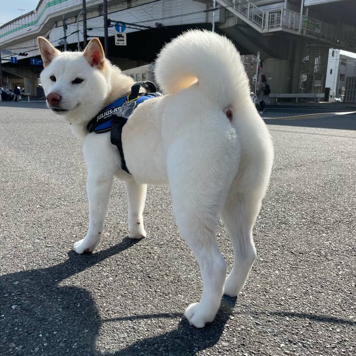 A2e84d93 5e42 4c6c b4be 39889dd21833 1650177194471