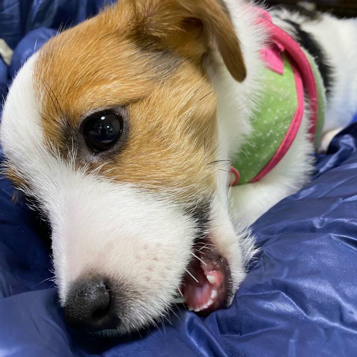 A2e85c4d 1a4a 48b3 b226 9d31a399b9b7 1611397518040