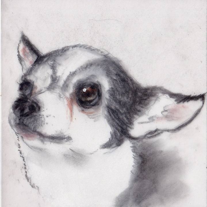 A2e88800 d5ad 41fb 9674 26345b3f425b 1745902089753