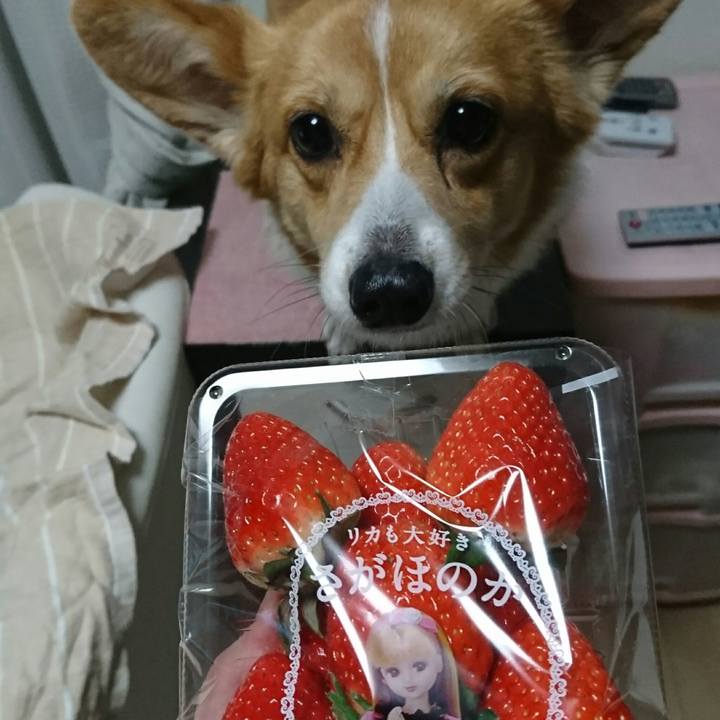 A2e8c905 6d56 42b8 9deb b95a27e9d802 1548331322691